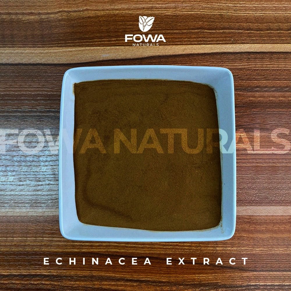 Echinacea Extract