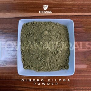 Ginkgo Biloba Powder