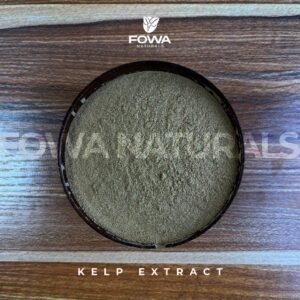 Kelp Extract