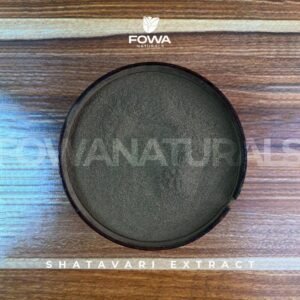 Shatavari Root Extract