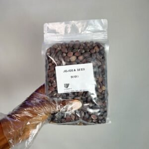 Jojoba Seeds